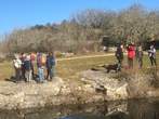Marche 23/01/25